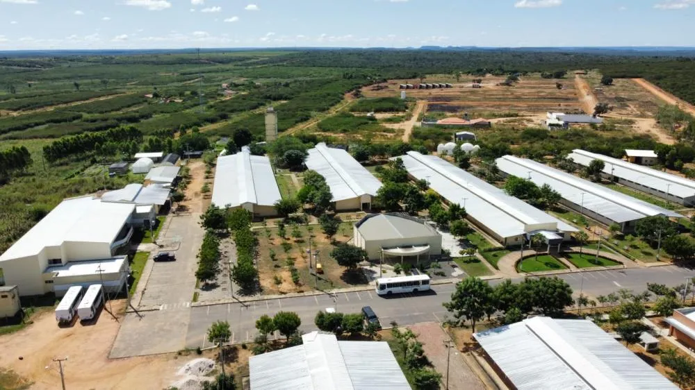 Foto: Reprodução\ UFPI